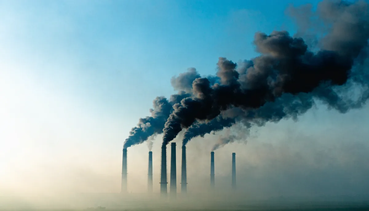 Top Examples of Global Environmental Poisoning
